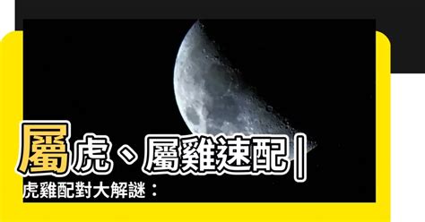 屬虎屬雞|【虎配雞】虎配雞：史上最強婚姻組合？屬虎與屬雞配對全攻略